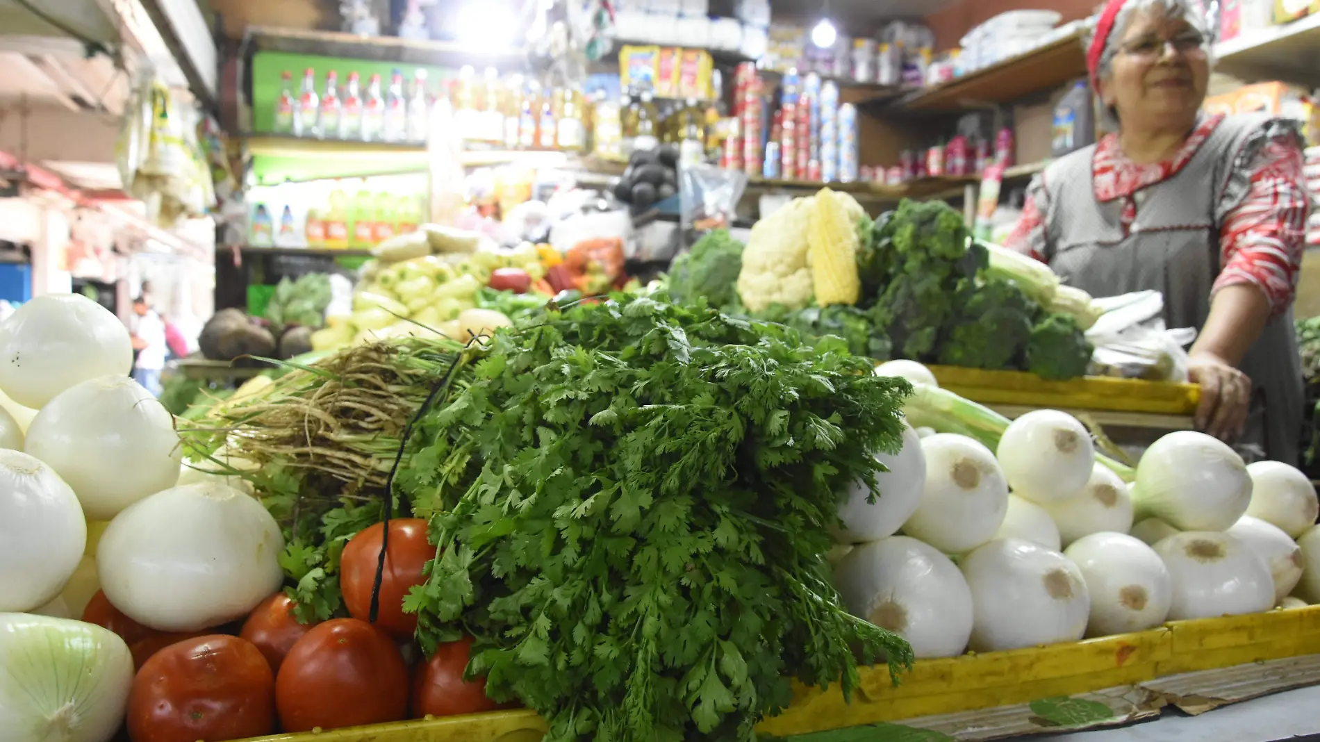 VERDURAS JESUS GTZ EL SOL DE IRAPUATO (1)